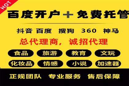 SEM专员实战案例解析